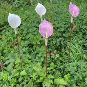 Agnes Avermaete - Calla (Ceramic)